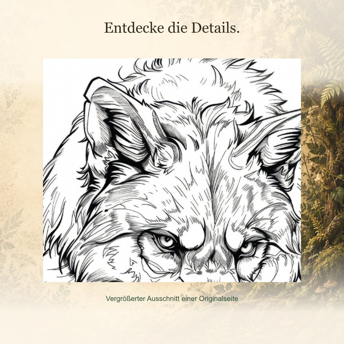 Fantastische Waldwesen – Rechtshänder - Feohwynn Onlineshop - Malbuch