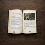 Laurin und die Magie am Untersberg - Hardcover - Feohwynn Onlineshop - Buch