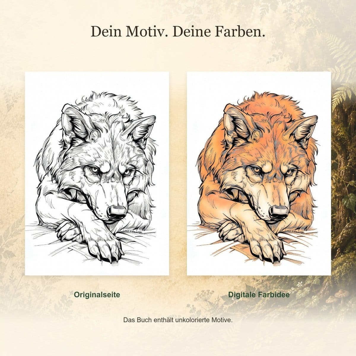 Fantastische Waldwesen – Rechtshänder - Feohwynn Onlineshop - Malbuch